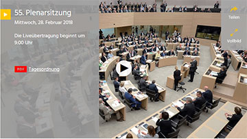 Ansicht des Webplayers für den Livestream mit Hintergrundbild aus dem Plenarsaal